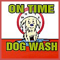 dog wash